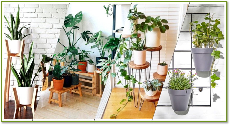 Indoor Plant Pots and Racks